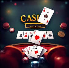 333bet vip